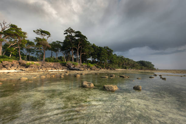Andaman Islands Drive